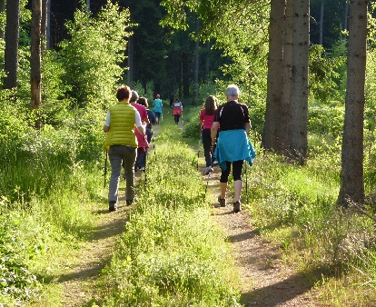 Nordic Walking